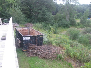 brush next to dumpster