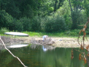 photo of east pond