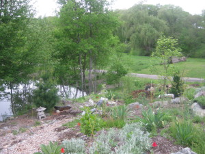 photo of garden, W slope