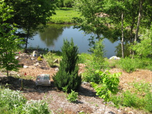 photo of pond