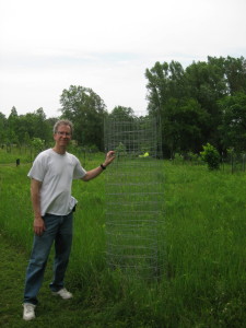 photo of fence around tree