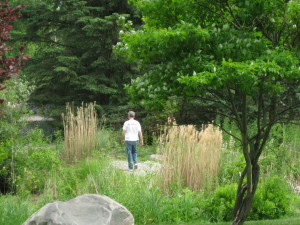 photo of Steve in garden