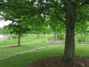 photo of garden pond