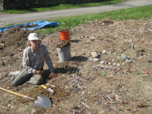 photo of Steve digging rhyzomes