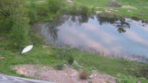 photo of pond, E