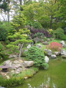 photo of garden